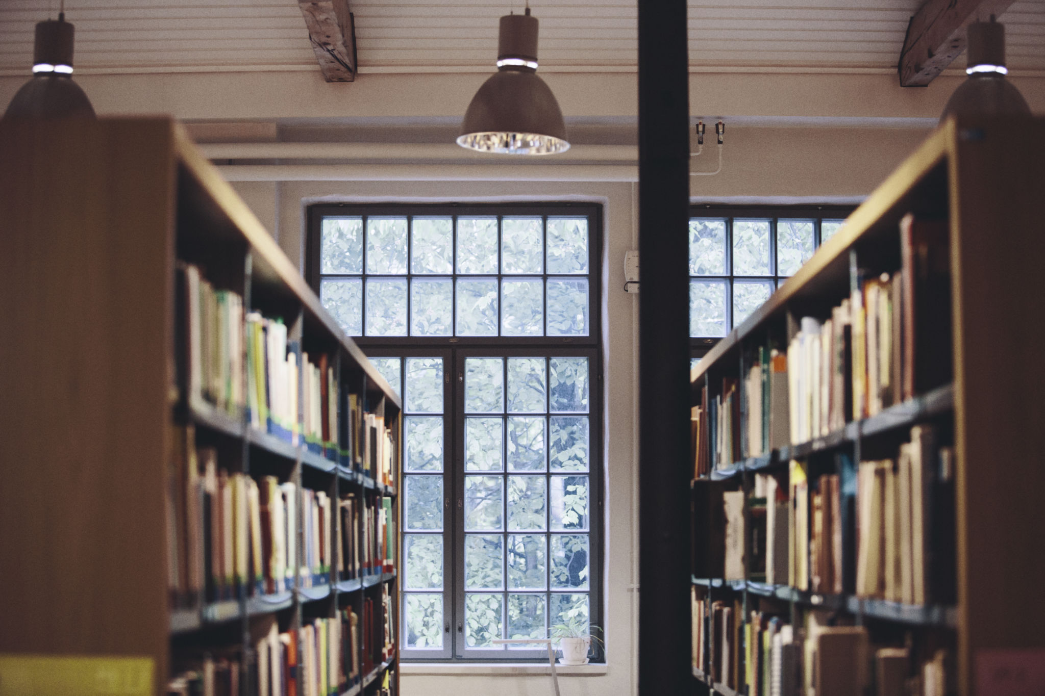 Bokhyllor i Arkens bibliotek.