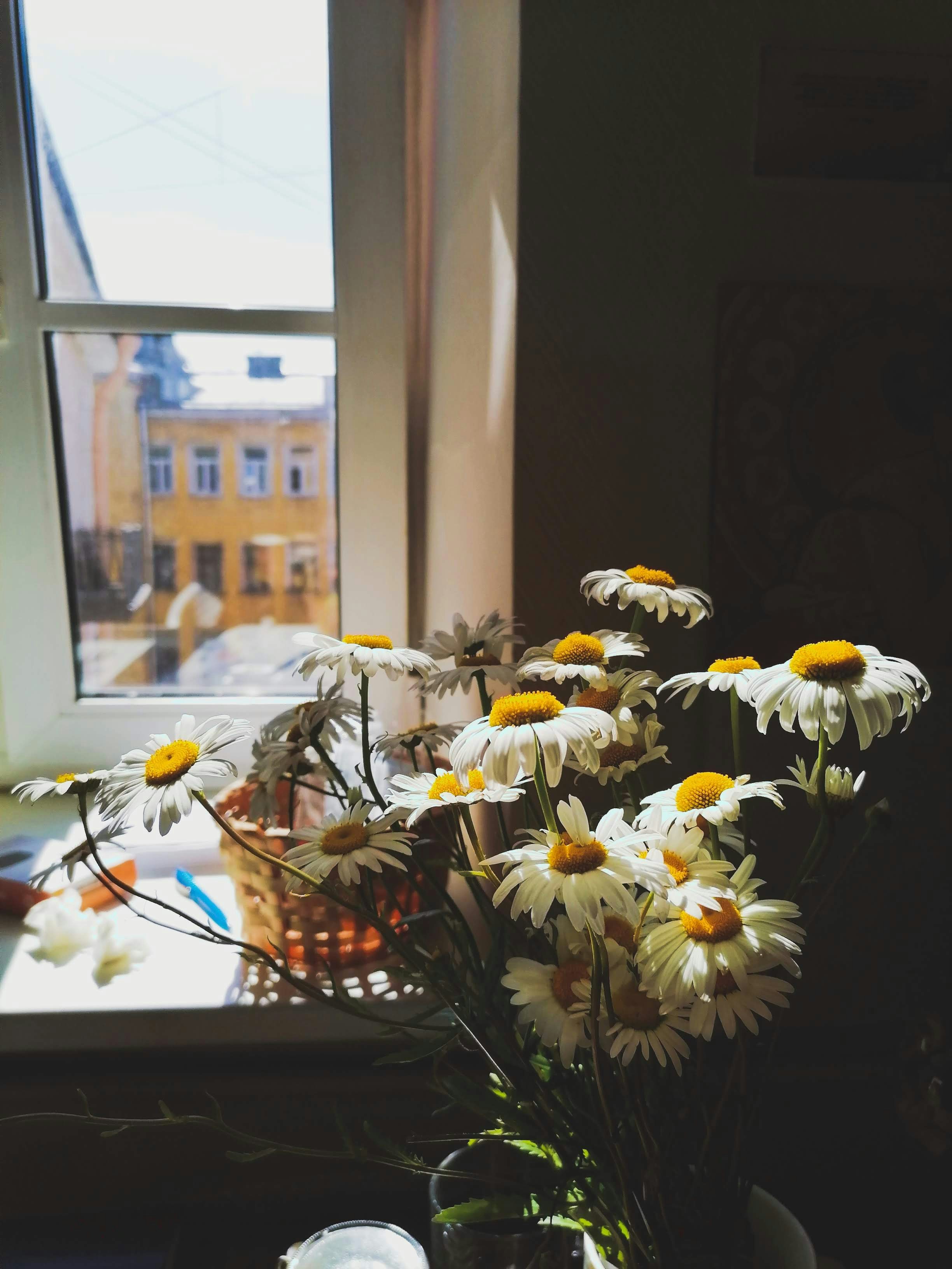 sommarblommor i vas inne, vy från fönstret ut mot en gammal stad